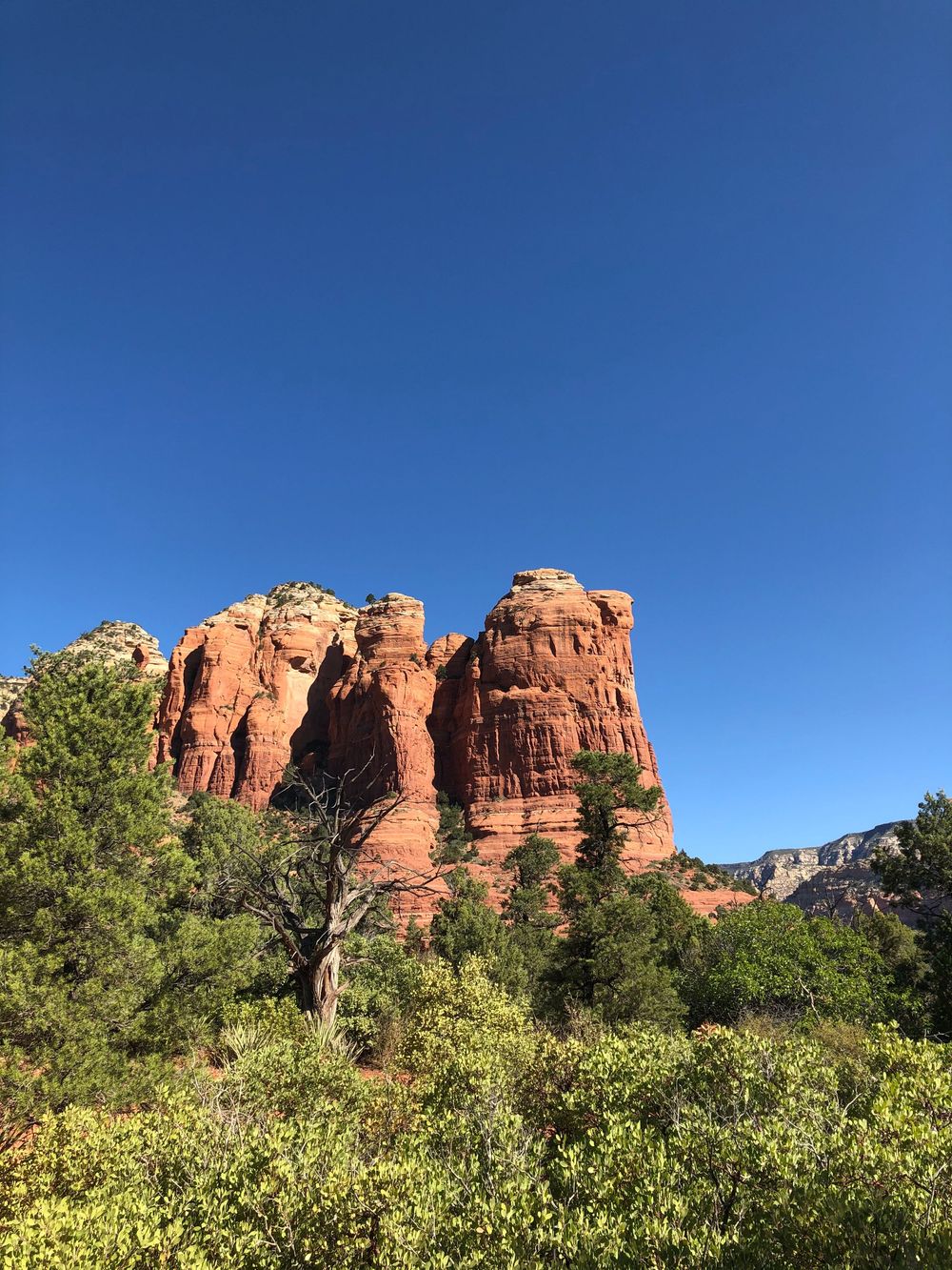 Majestic red sandstone cliffs and buttes rise above green vegetation in Sedona's desert landscape.
