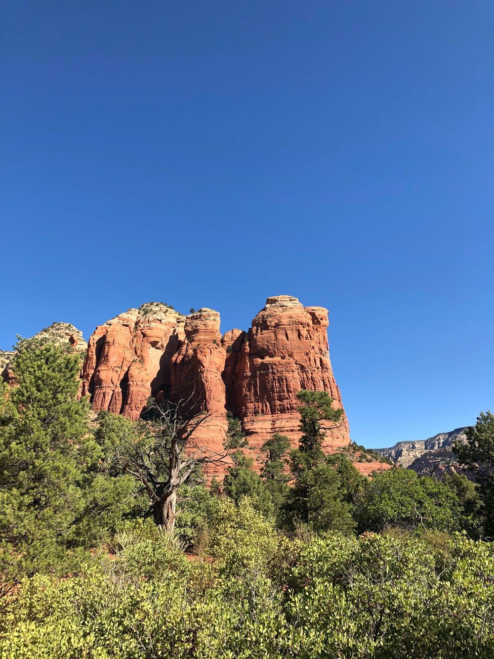 Majestic red rock formations rise above green vegetation in Sedona against clear blue Arizona skies.