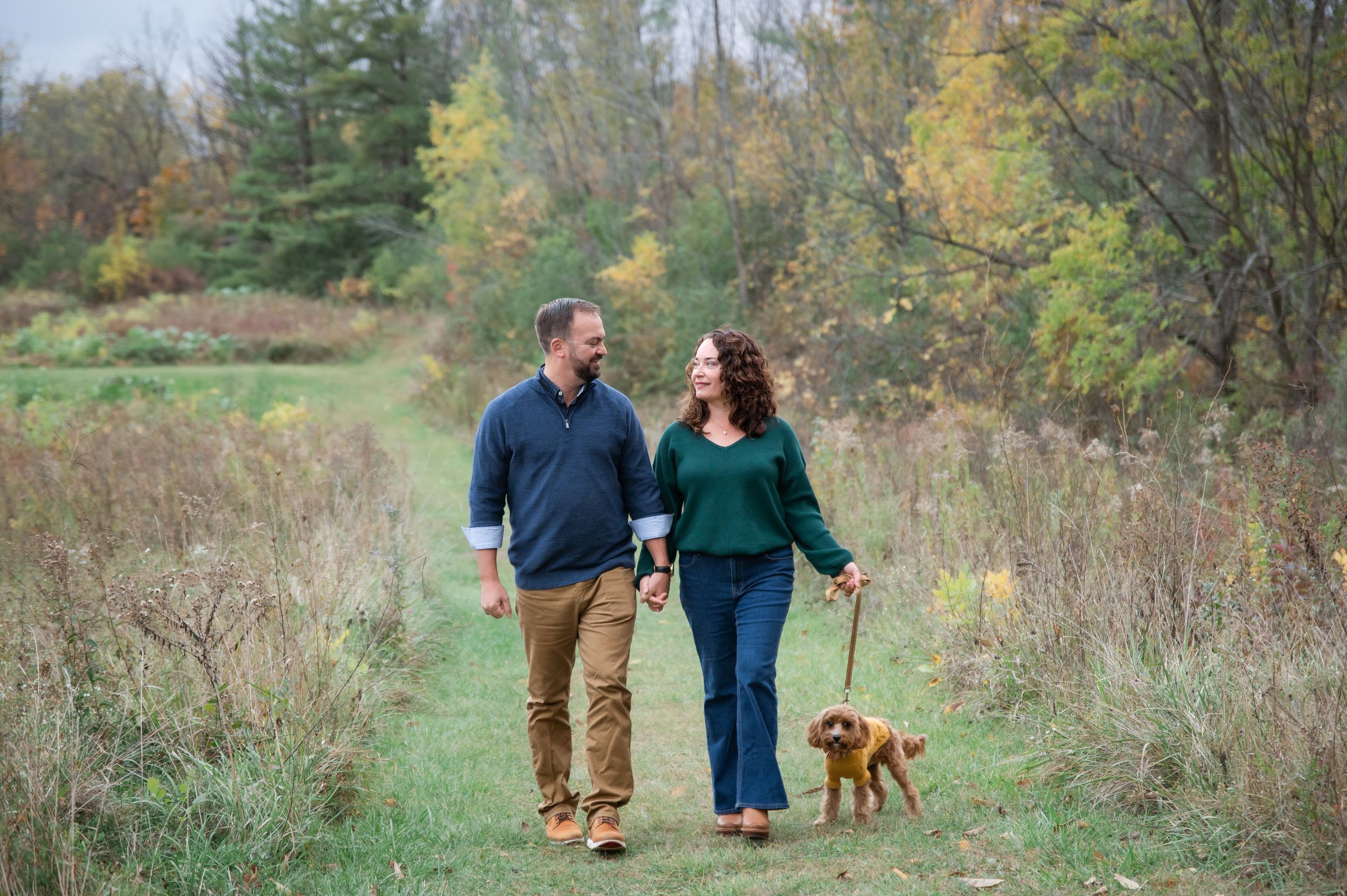 A couple in blue outfits walks their golden retriever dogs through a scenic autumn field at sunset.
