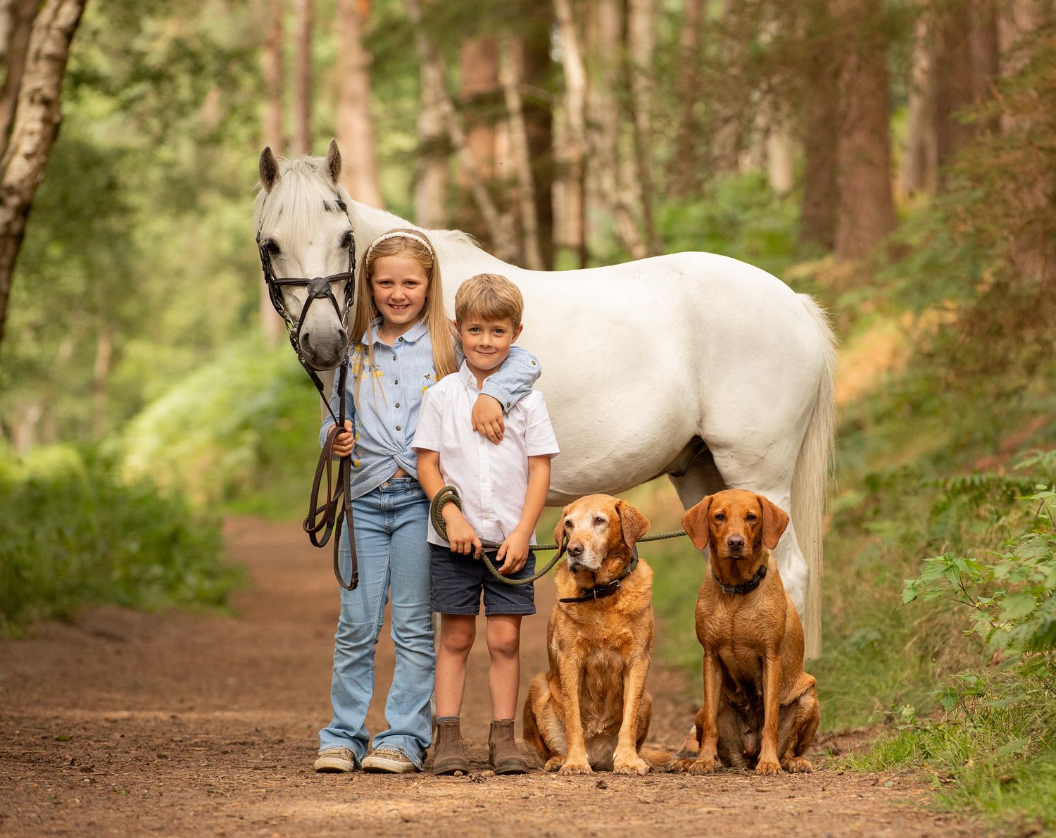 A beautiful black and white paint horse stands with a person on a sunny autumn day outdoors.