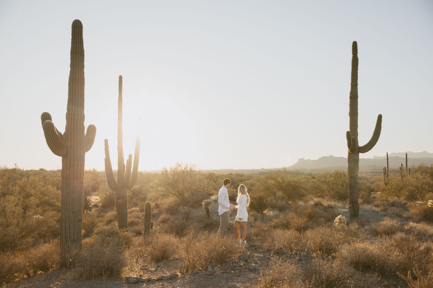 A series of saguaro cacti stand silhouetted against a golden desert sunset in Arizona's Sonoran Desert landscape.