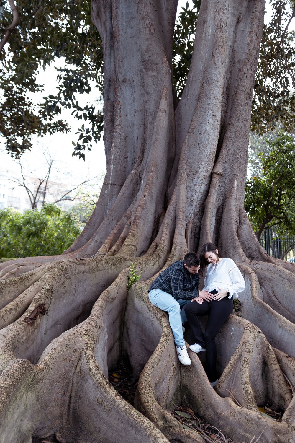 A photo sequence showing people posing among the massive exposed roots of an ancient tree.