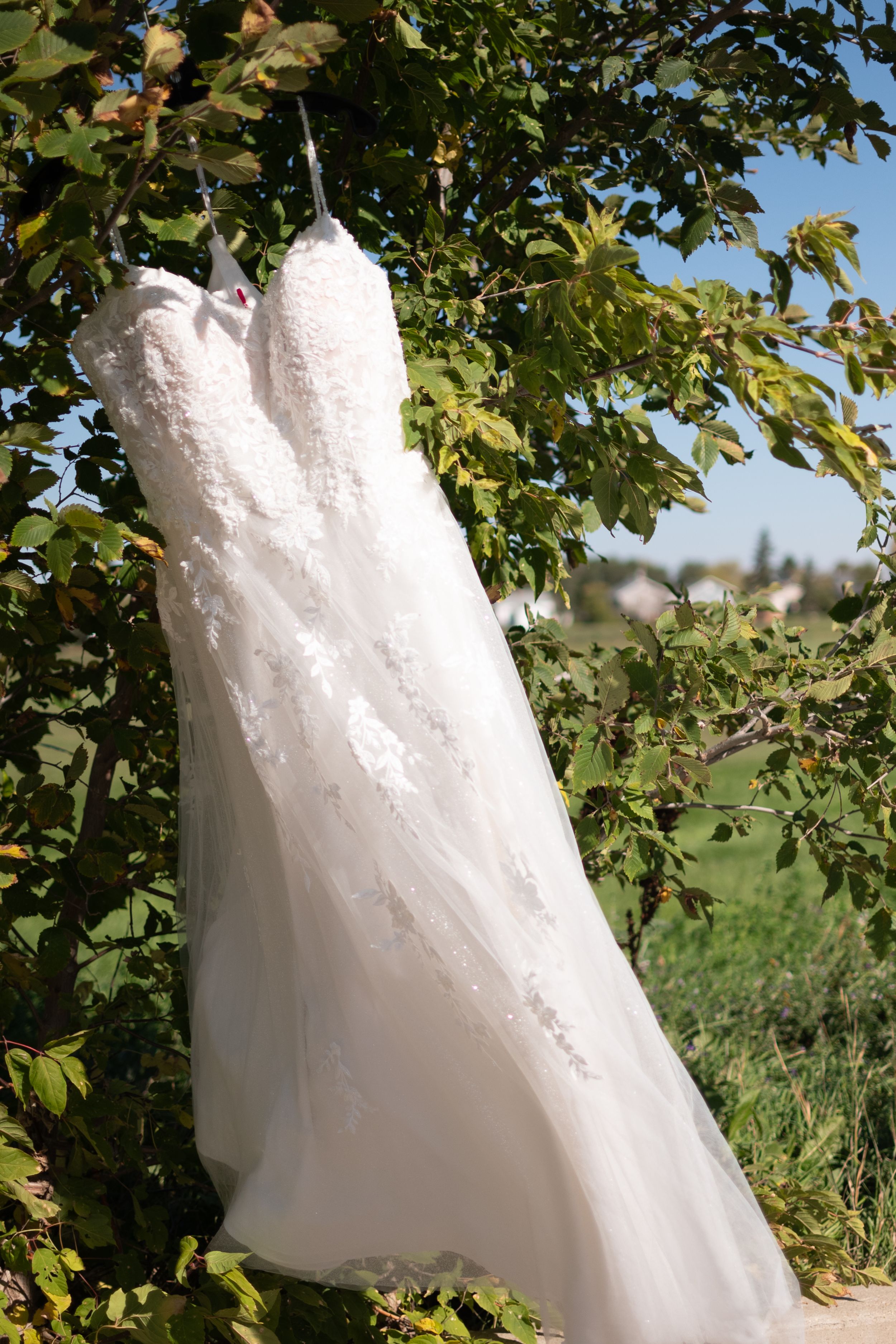 A white lace wedding dress hangs outdoors against green foliage and a blue sky background.