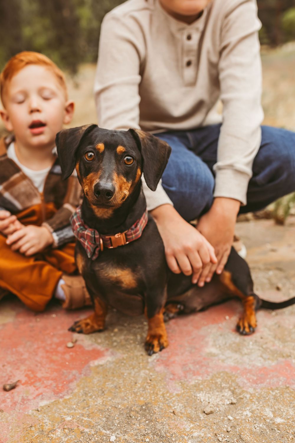 Black and tan dachshund puppy lying on concrete during outdoor photoshoot.