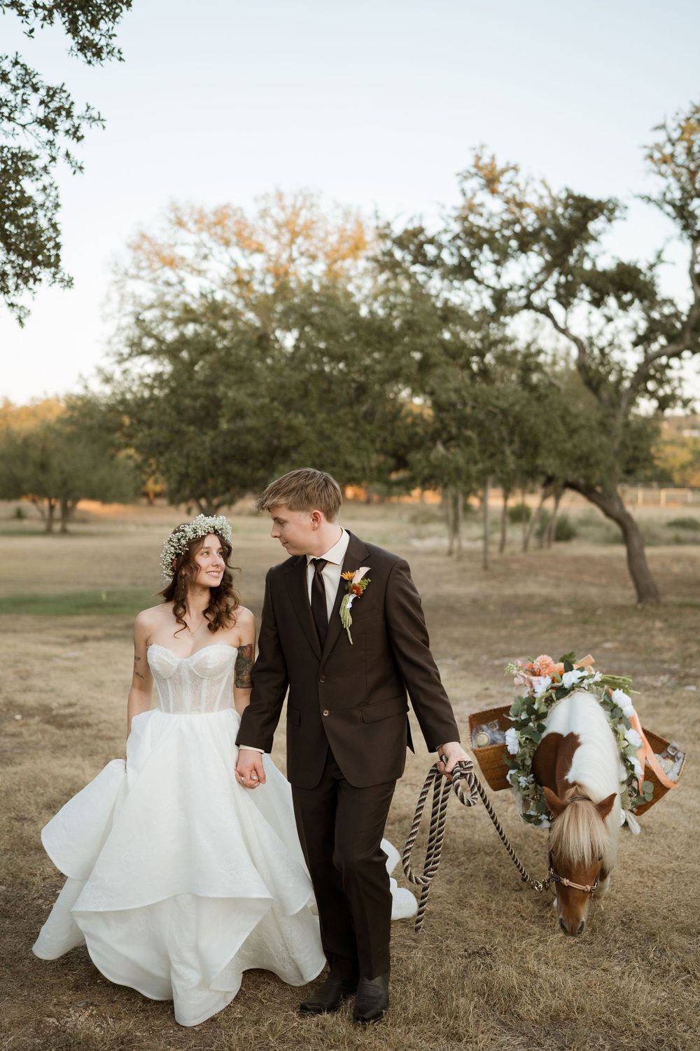 wedding donkeys San Antonio