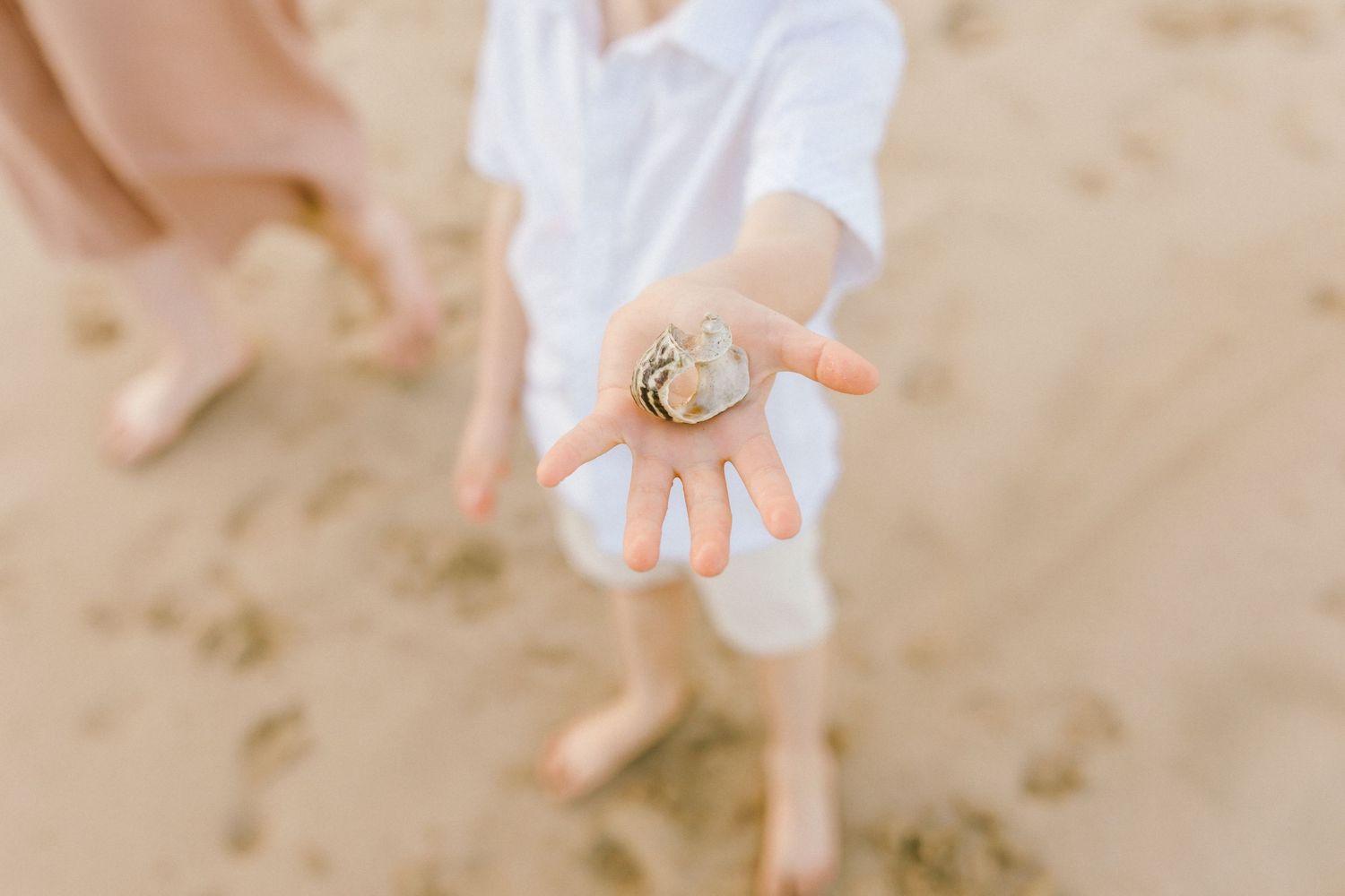 Hands holding small white petals scattered against a soft beige background in a dreamy composition.