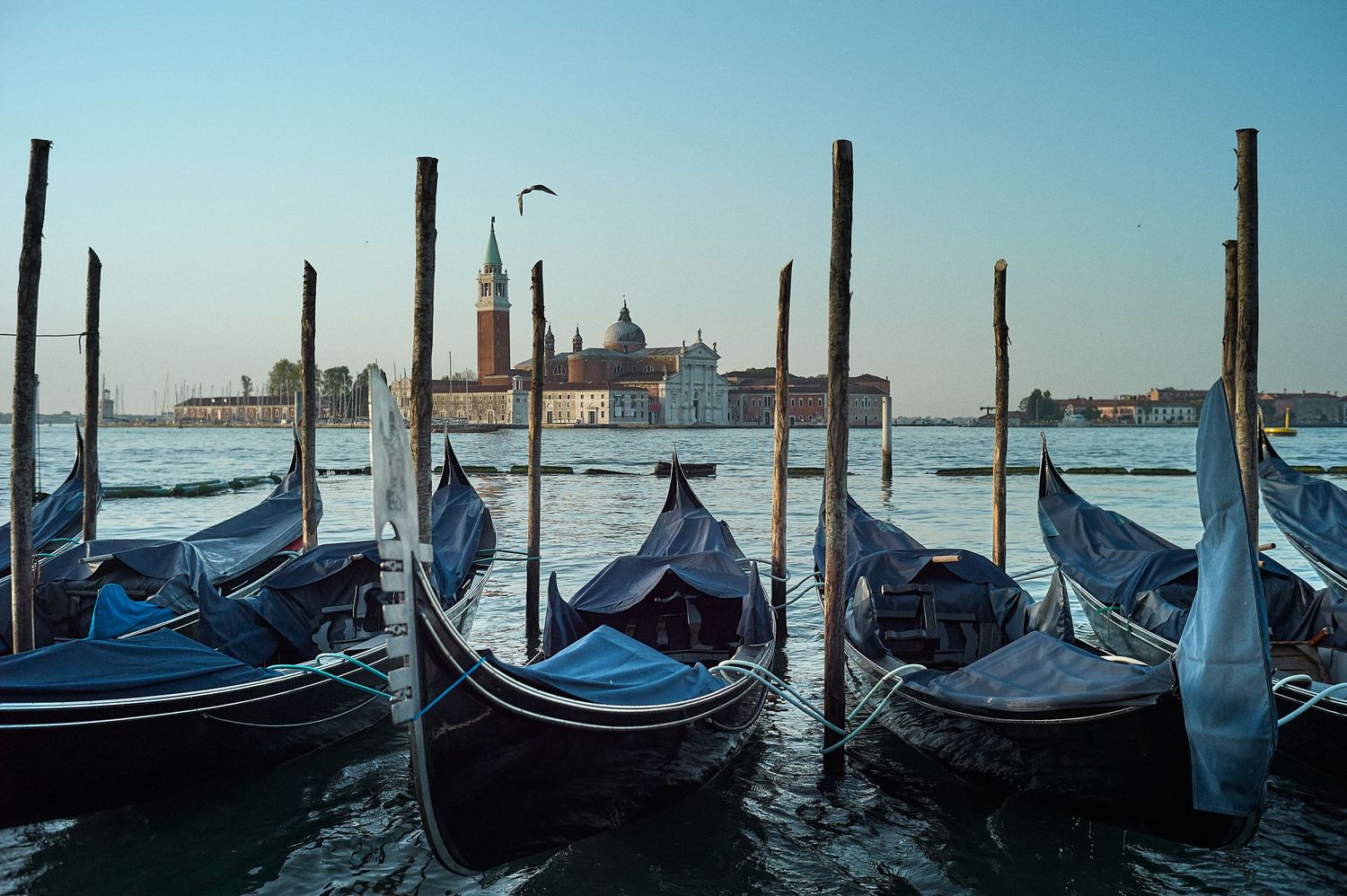 A panoramic view of Venice's Grand Canal at sunset with historic buildings reflecting in the rippling water.