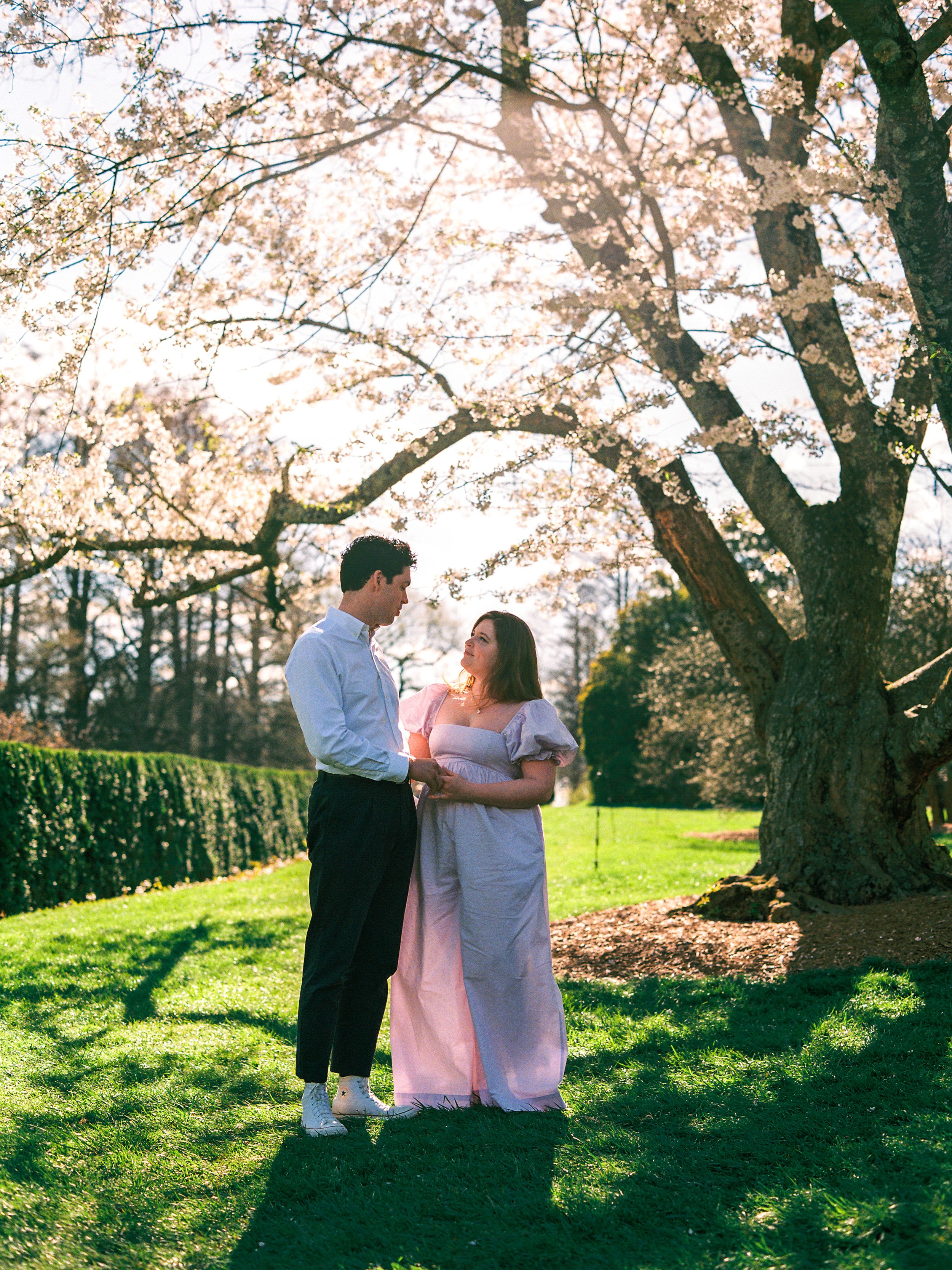 Couple sharing a romantic moment under blooming cherry blossom trees in a sunlit garden.