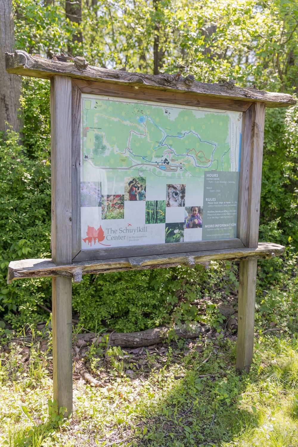 Weather-worn interpretive trail signs display educational information along a wooded nature path in dappled sunlight.