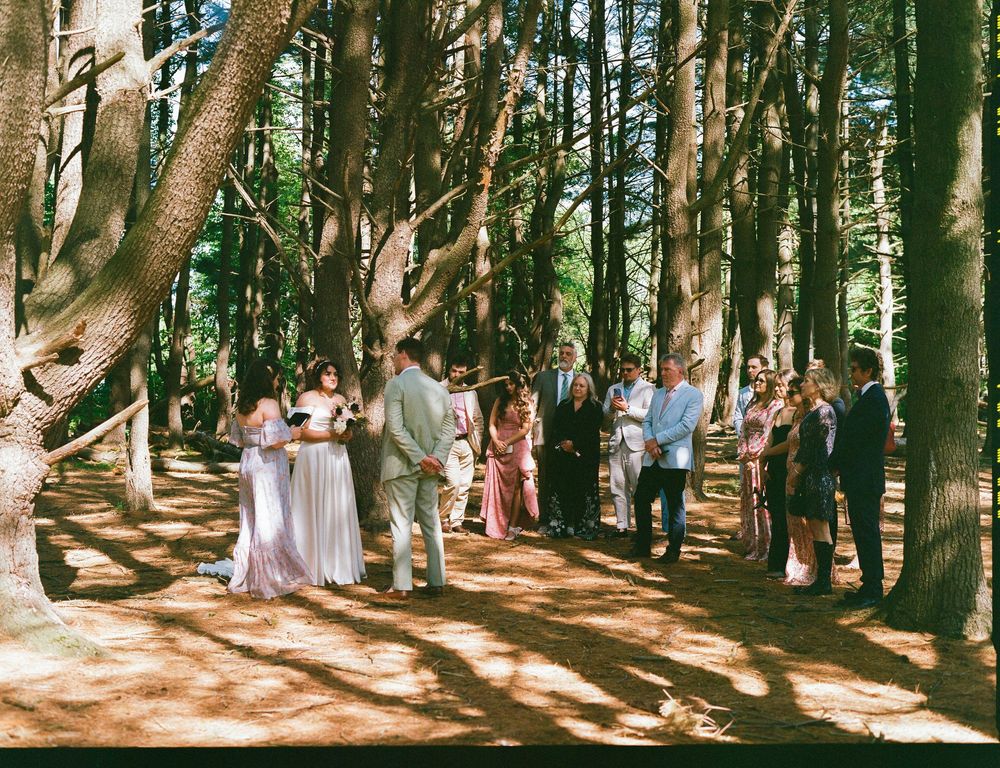 Dappled sunlight streams through tall trees in a forest where people gather for an outdoor celebration.