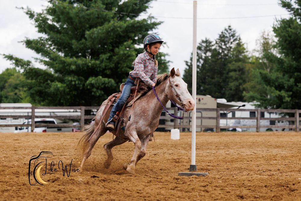 Barrel racers compete in a fast-paced rodeo event on their horses across a dusty arena.