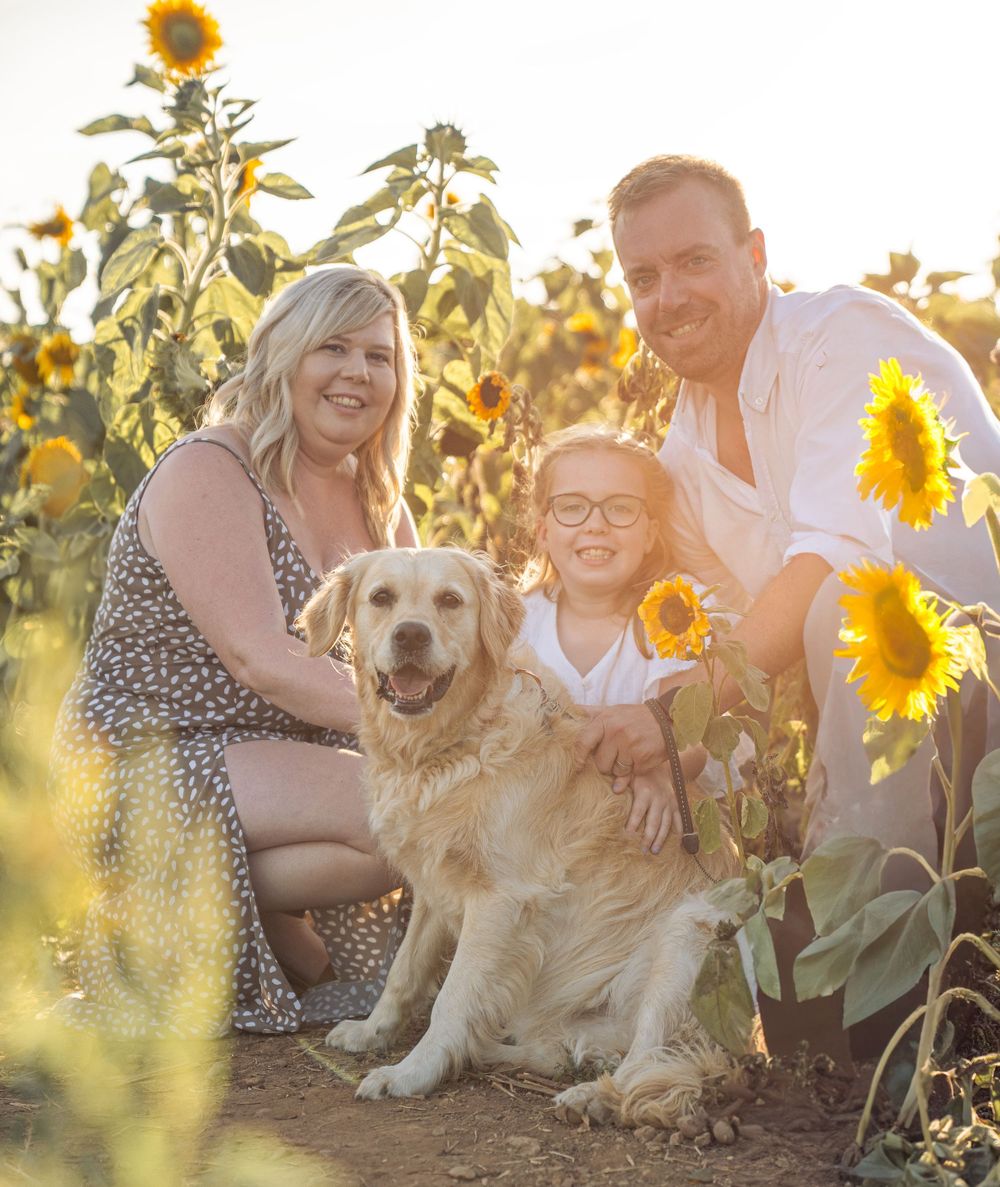 A golden retriever sits with loved ones in a sunlit sunflower field during a warm summer evening photoshoot.