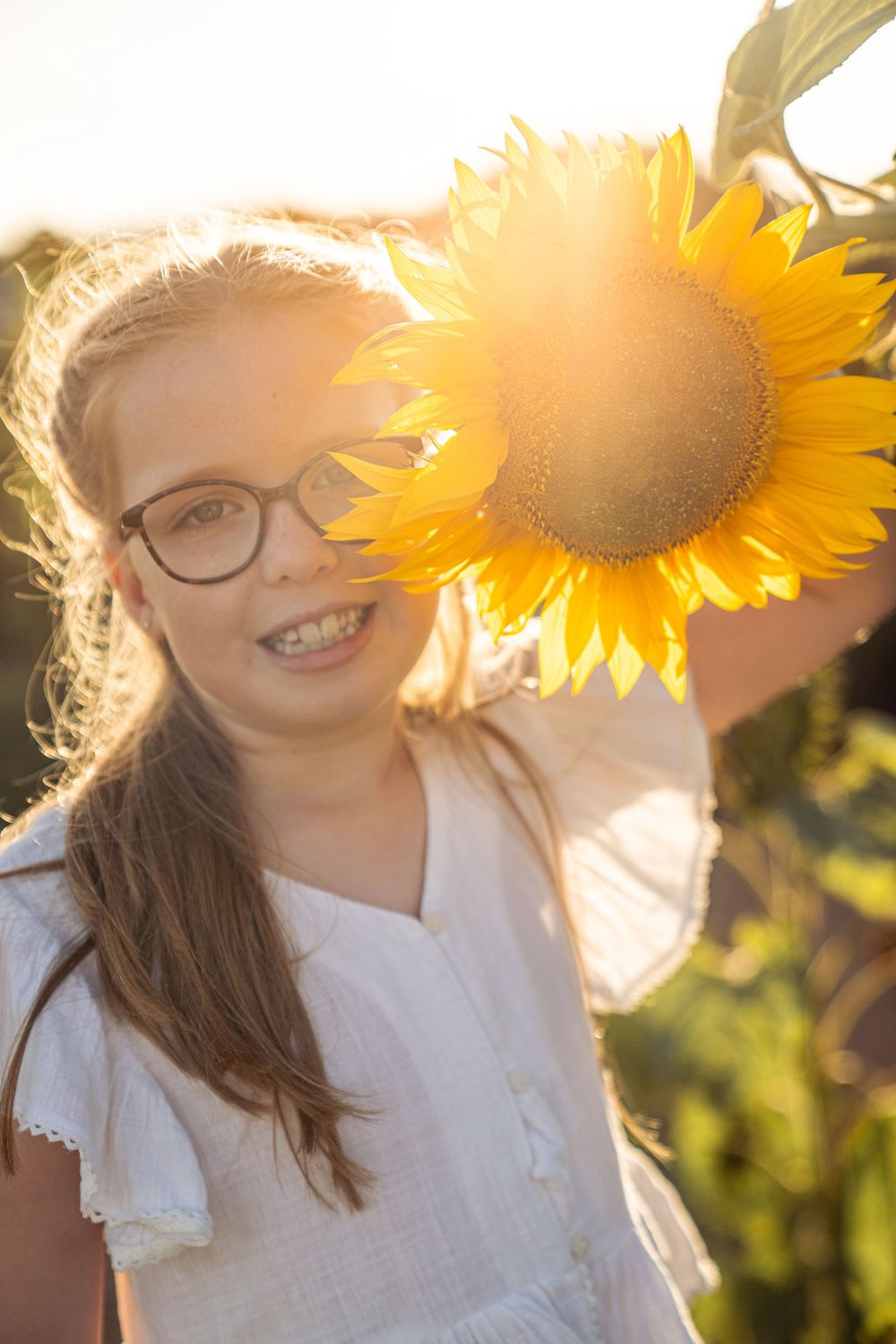 A bright yellow sunflower radiates warmth in the summer sunlight with a blurred natural background.