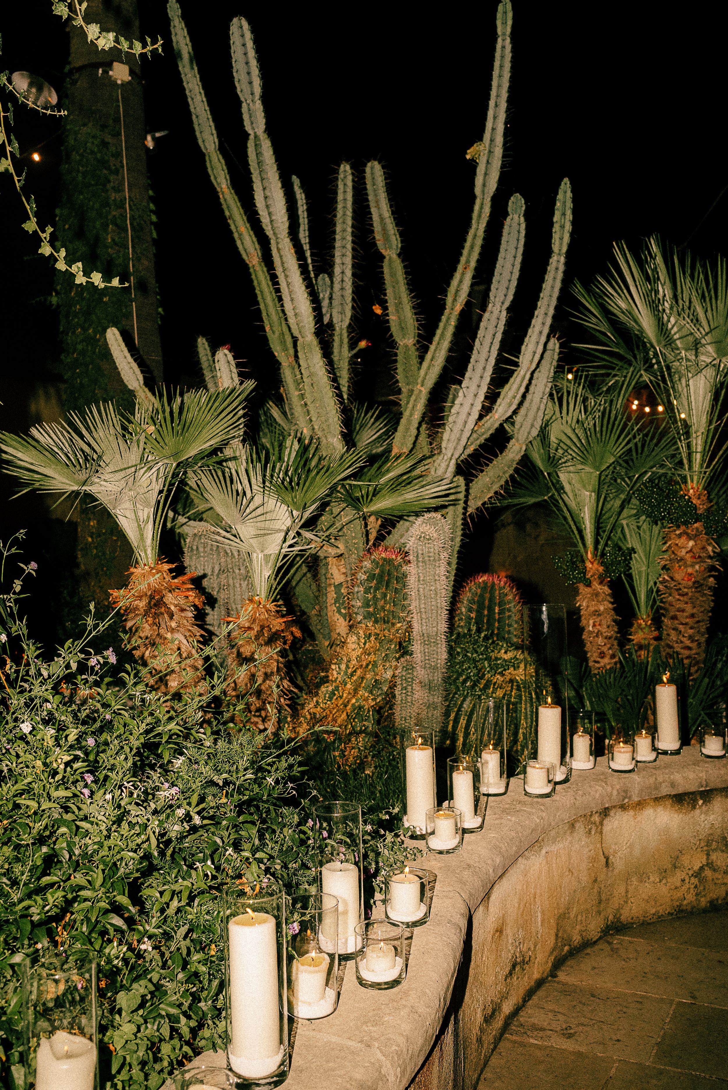 Saguaro cacti and desert landscaping illuminated by lanterns create dramatic nighttime ambiance at outdoor venue.