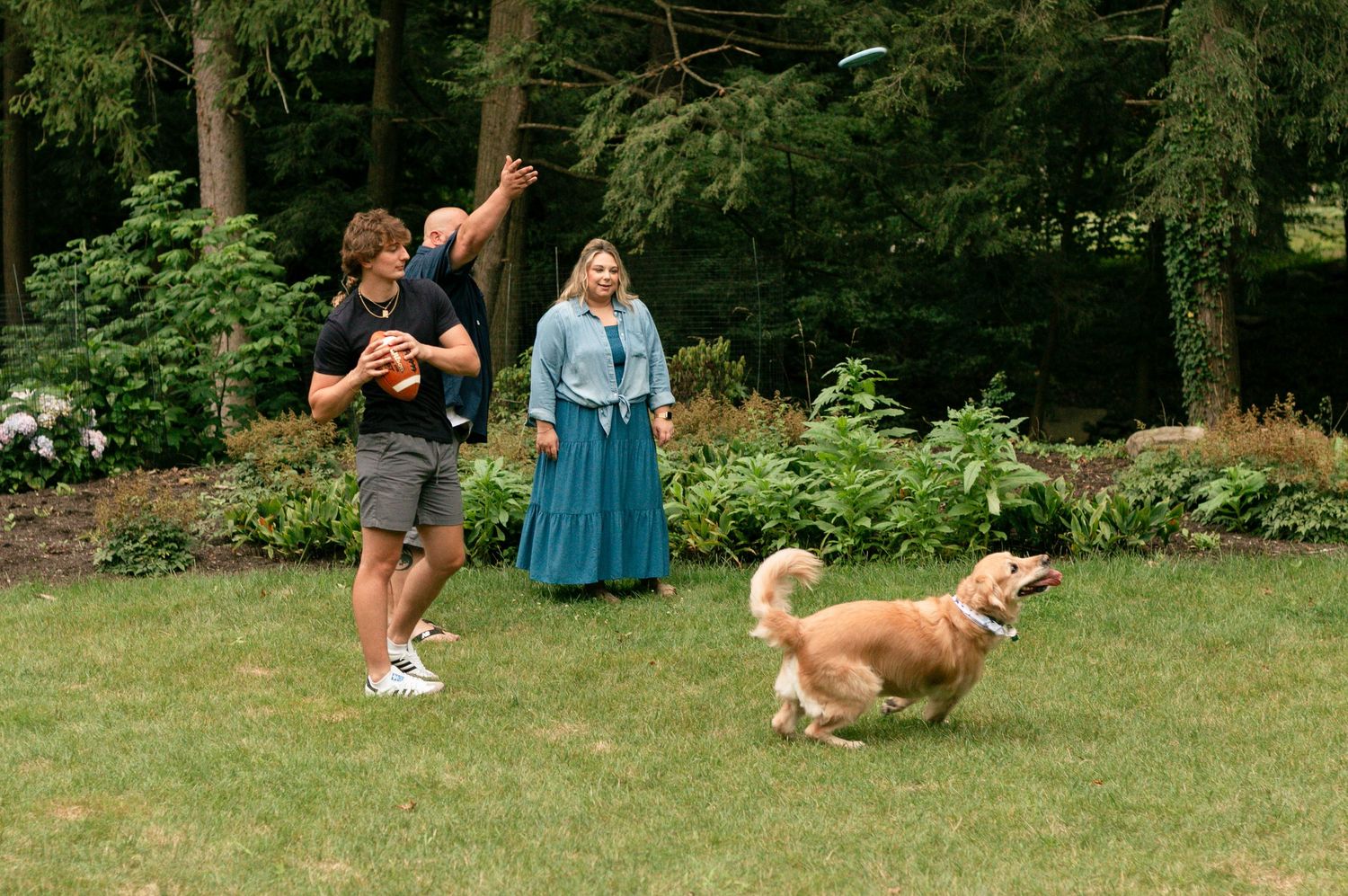 A golden retriever dog runs and plays fetch in a grassy backyard area. mill creek youngstown