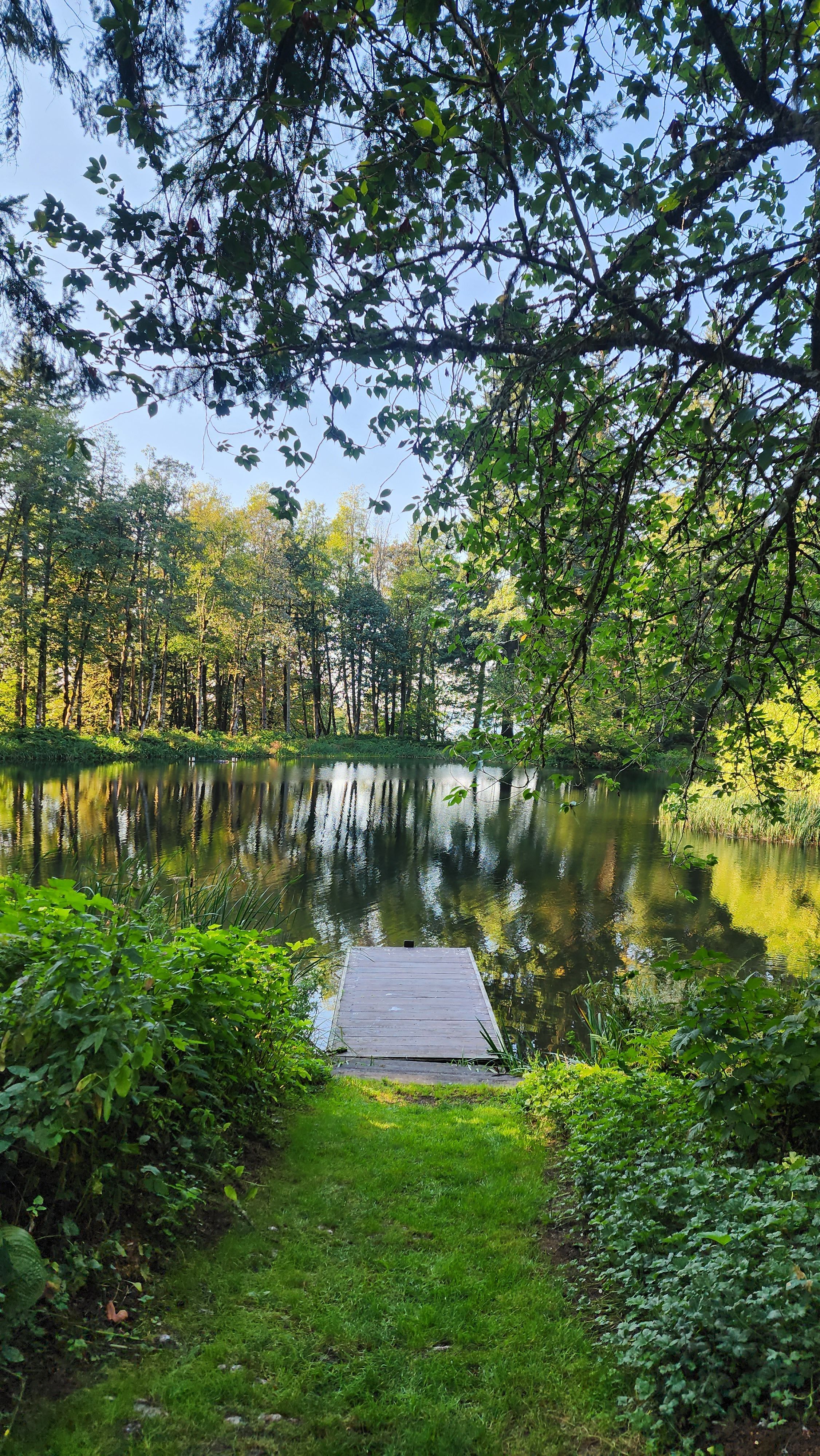 Scenic garden pathway leading to a pond surrounded by lush greenery.