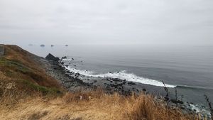 Misty coastline cliffs along Oregon Coast on an overcast day.