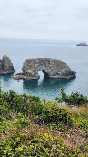 Rock formations along Oregon Coast with blue ocean backdrop.
