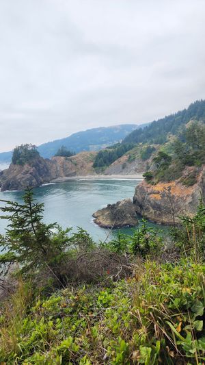 Rocky shoreline and ocean cliffs along the Oregon Coast.