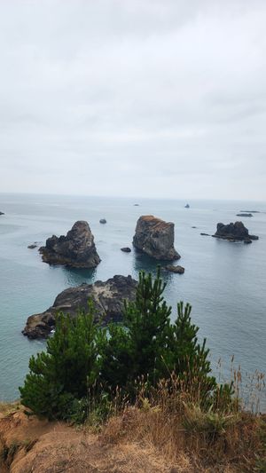Rock formations along the Oregon Coast on a foggy day.