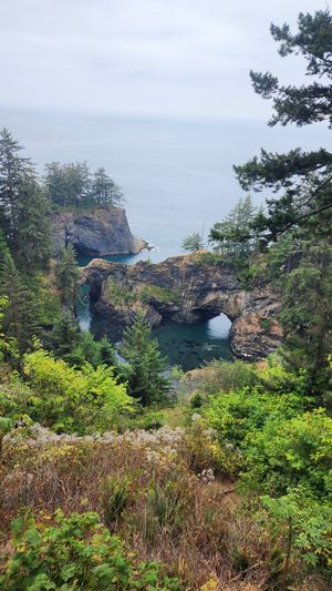 Rocky cliffs and forested coastline in Oregon.
