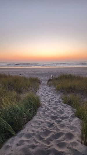 Sandy path through grass dunes leading to beach at sunset.