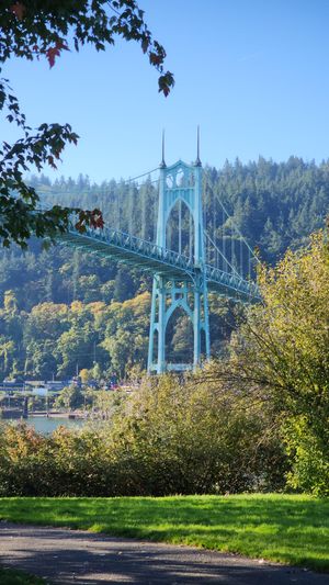 St. Johns Bridge in Portland, Oregon, with trees and hillside in the background.