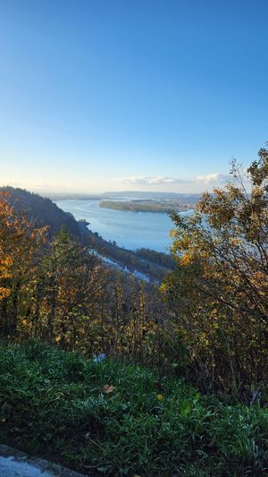 Scenic overlook of the Columbia River Gorge with blue sky and rolling hills.