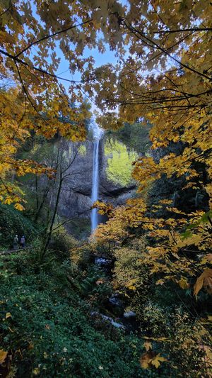 Latourell Falls waterfall framed by colorful autumn foliage.