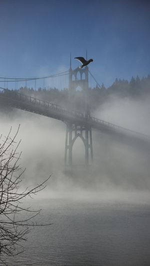 St. Johns Bridge in Portland rising above morning fog.