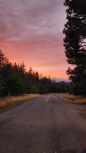 Empty country road at sunset with colorful sky in the Pacific Northwest.
