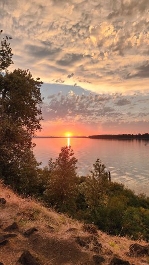Golden sunset over the Columbia River with trees in the foreground.