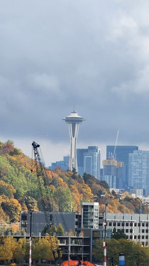 Seattle skyline with the Space Needle rising above the city.
