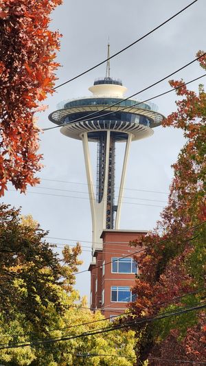Space Needle framed by vibrant fall foliage.