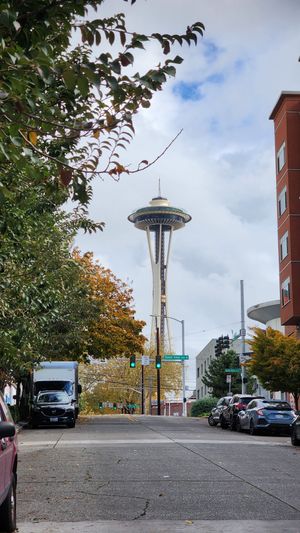 Seattle Space Needle view framed by city street and autumn trees.