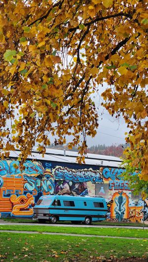 Colorful mural painted on wall under autumn trees in Portland.