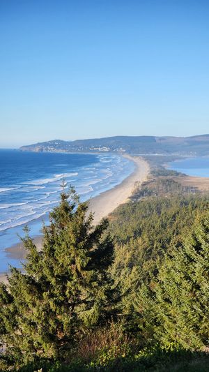 Panoramic view of the Oregon Coast shoreline stretching into the distance.