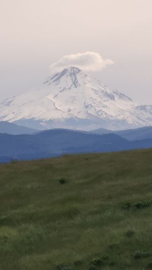 Snow-covered Mt. Hood with clouds forming a cap over the summit.