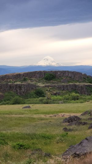 Rolling green hills under a cloudy sky with a distant Mt. Hood peak.