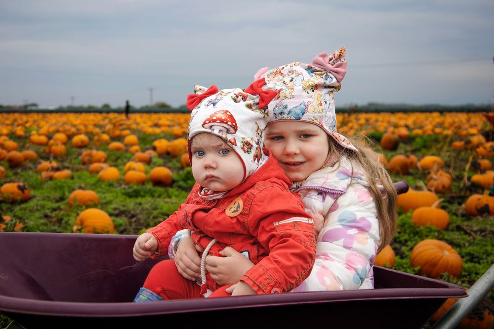 pumpkin patch photoshoot merseyside