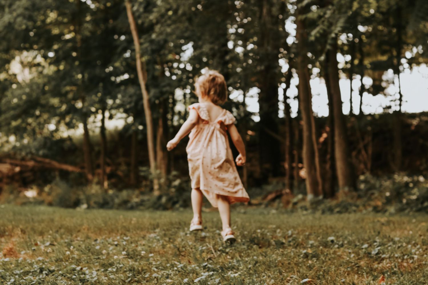 Child wearing a light summer dress explores a natural woodland setting.