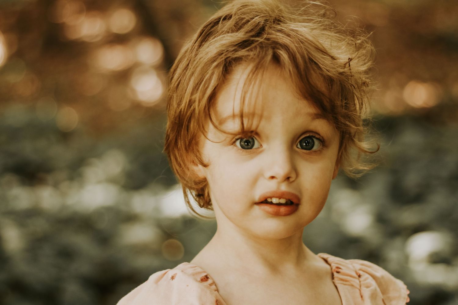 Soft lighting illuminates a pink dress against a dark natural backdrop.
