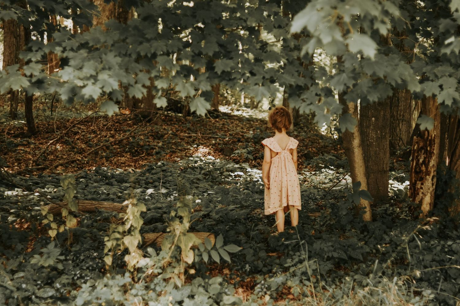 Dreamy outdoor portrait featuring a light pink dress against lush foliage.