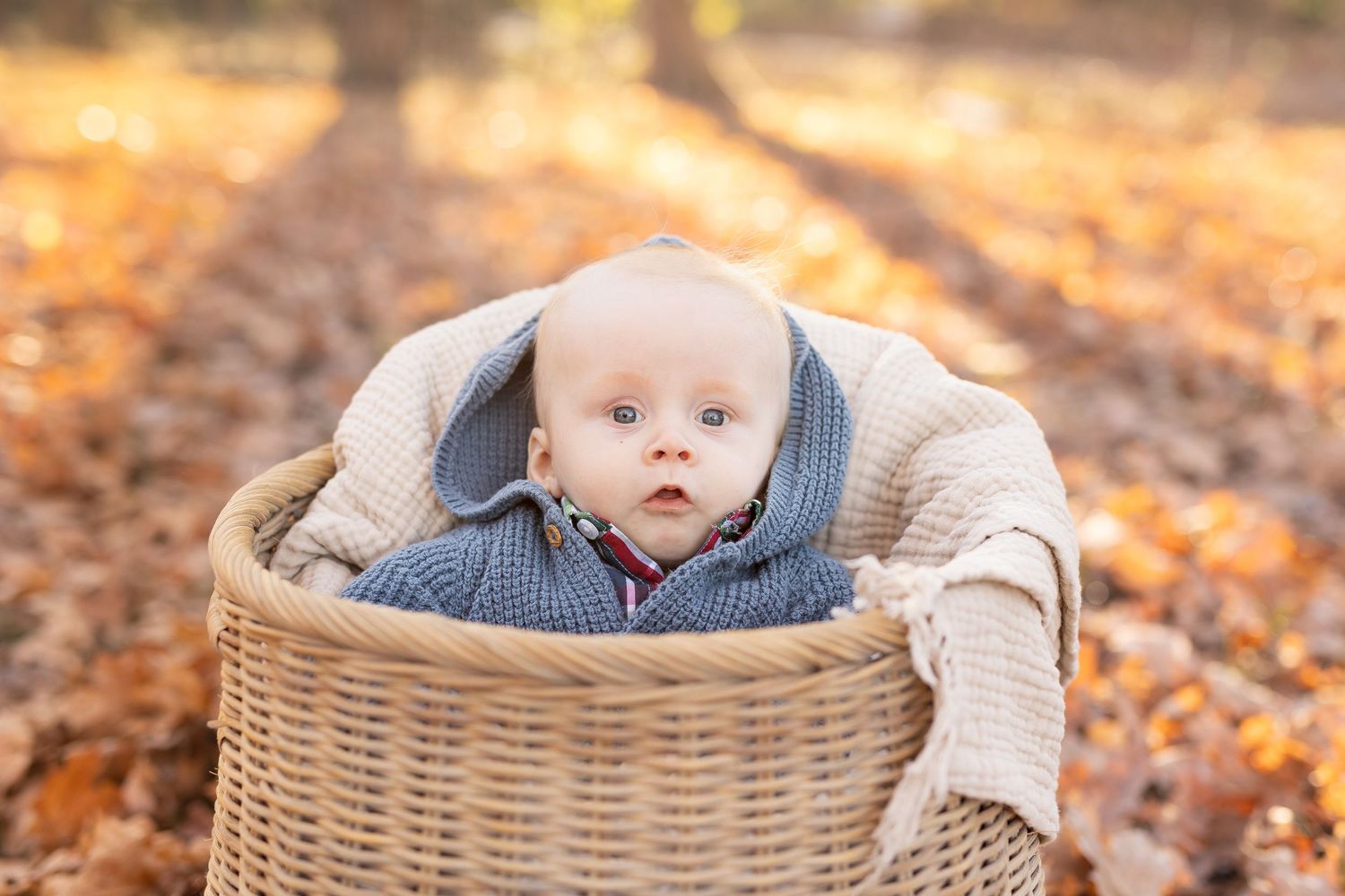 Baby boy nestled in a woven basket amidst fall leaves