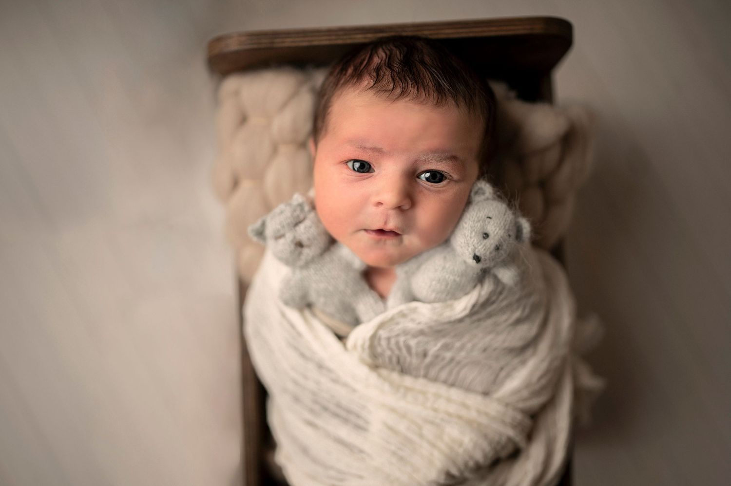 Portrait of infant wrapped in soft gray blanket against neutral background in studio lighting.