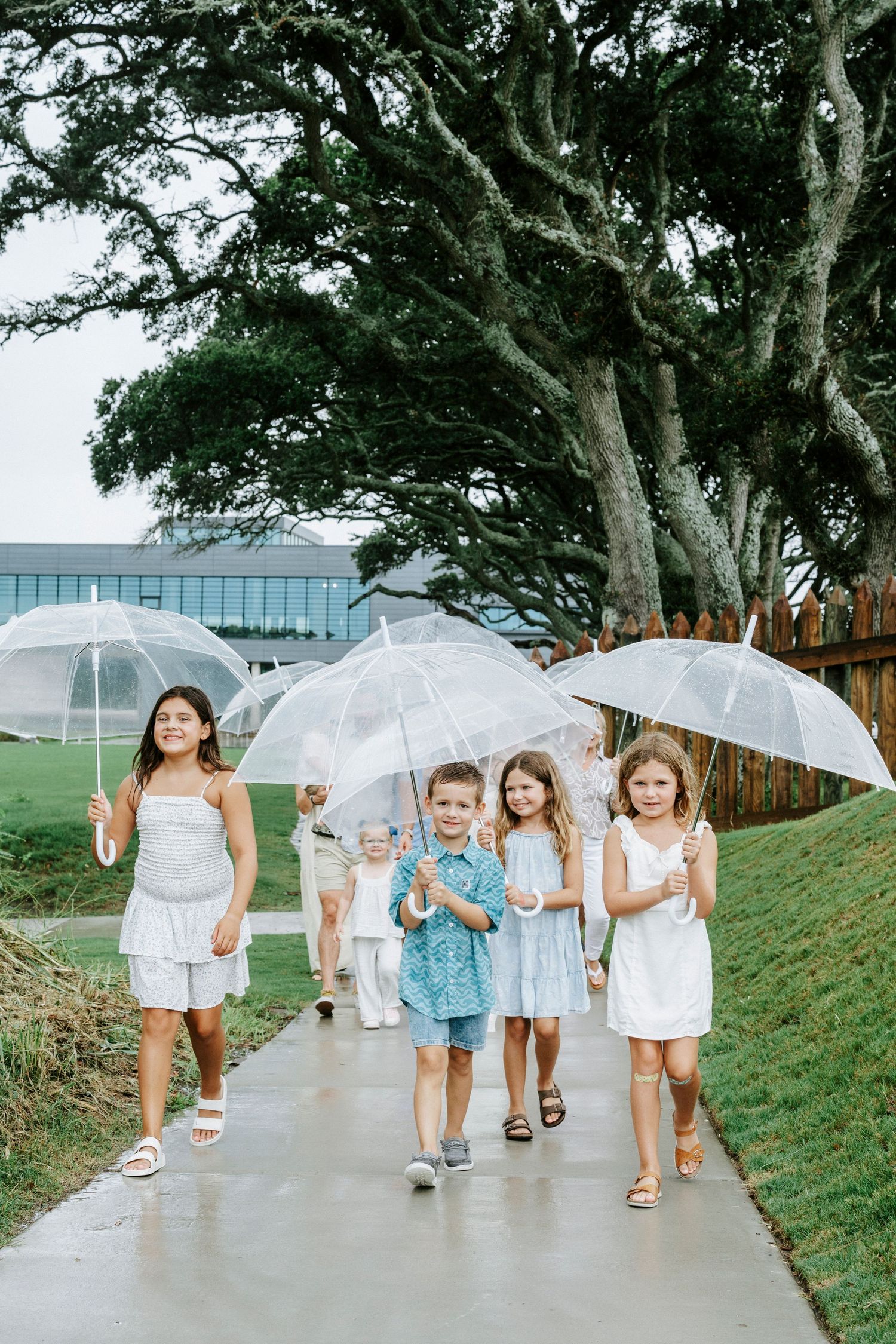 Group walking together with clear umbrellas along a coastal path.