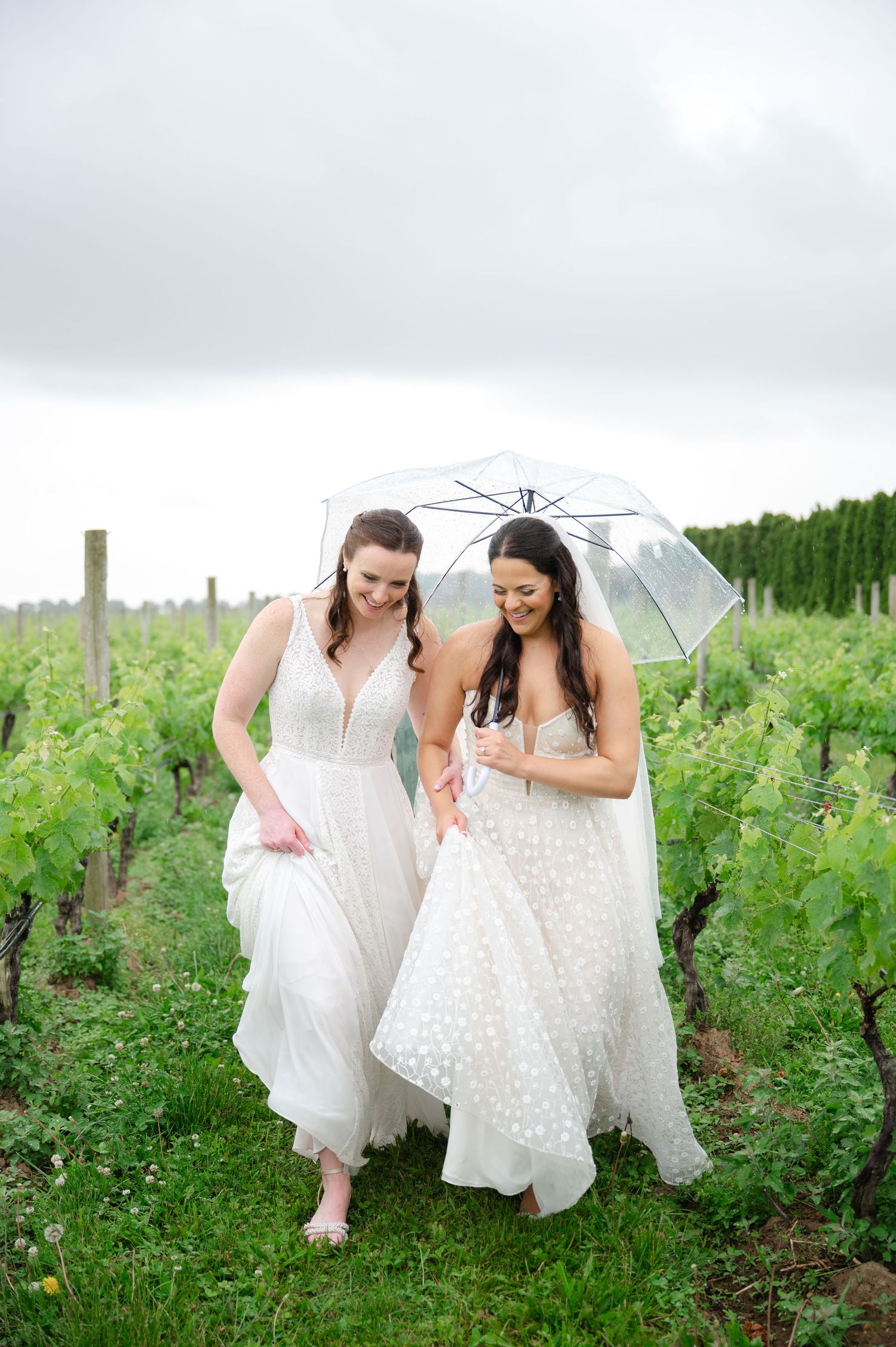 Two people in white dresses walking and laughing together through a lush green vineyard on a cloudy day.