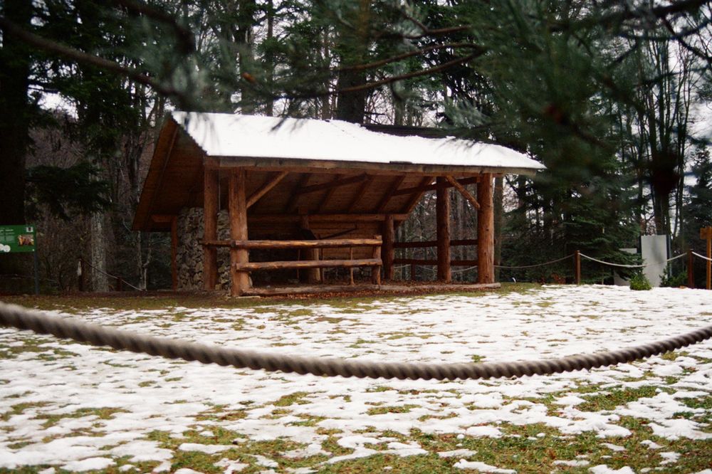 Cabin in the woods on snowy day,