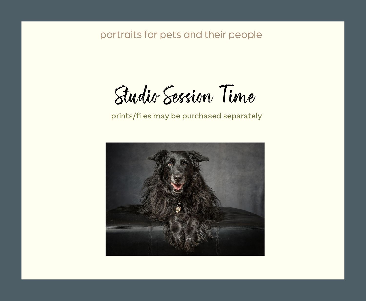 Professional studio logo text designs in minimalist navy blue squares with elegant script font accents.