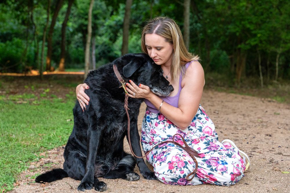 Natural, candid interaction between a pet owner and their dog during a quiet session break